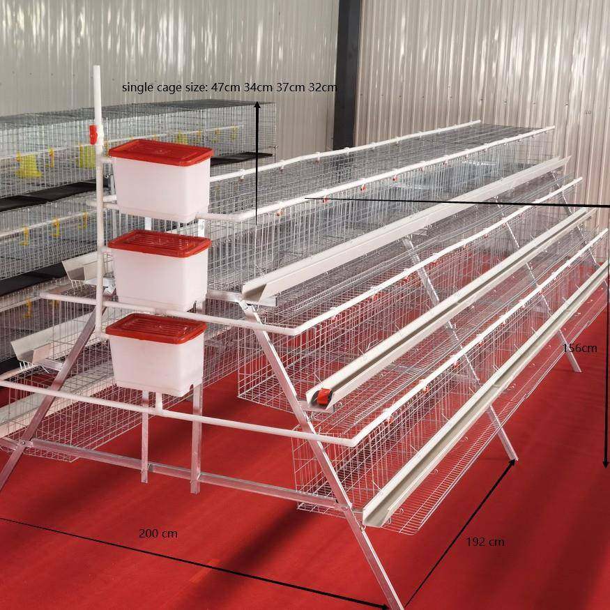 A型阶梯蛋鸡笼源头厂家三层四门阶梯蛋鸡笼热镀锌鸡舍家用养殖场,淘宝优惠券,粉丝福利购,淘宝优惠卷
