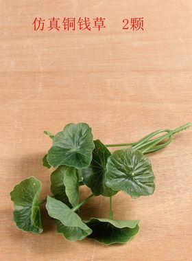 流水摆件装饰品仿真文竹活植物荷花铜钱草陶瓷绿植铺面苔藓盆栽