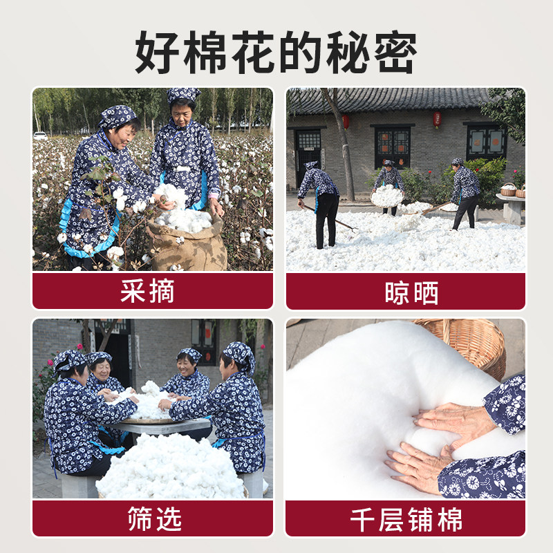 新疆棉花一级优质长绒棉纯棉花散装棉被填充物被芯枕芯填充棉坐垫,淘宝优惠券,粉丝福利购,淘宝优惠卷