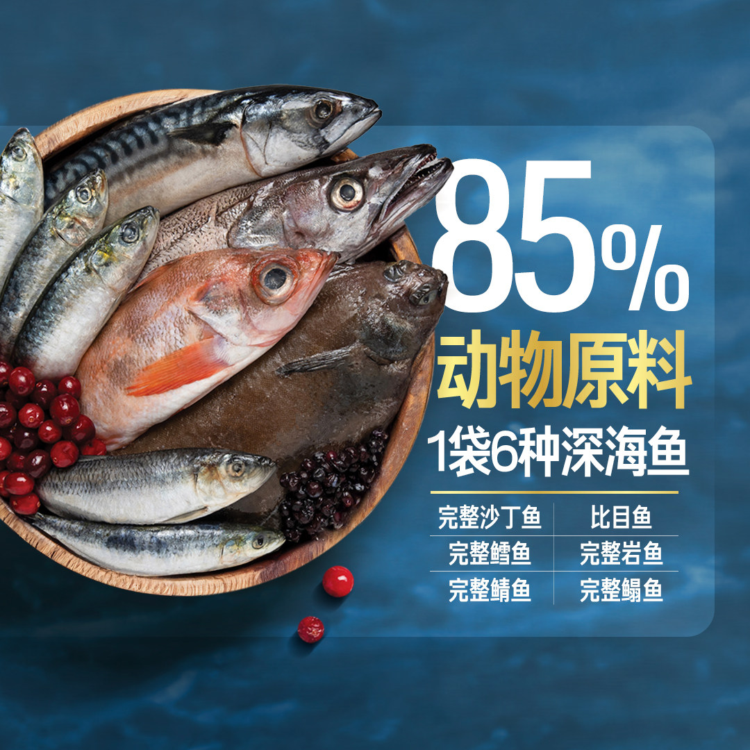 【自营】Orijen/渴望美国进口通用型六种鱼干粮鱼肉味猫粮5.4KG