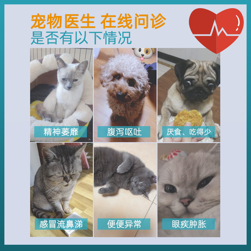 宠物医生问诊在线上咨询犬猫咪狗狗诊所生看病医院药店兽医24小时 - 图2