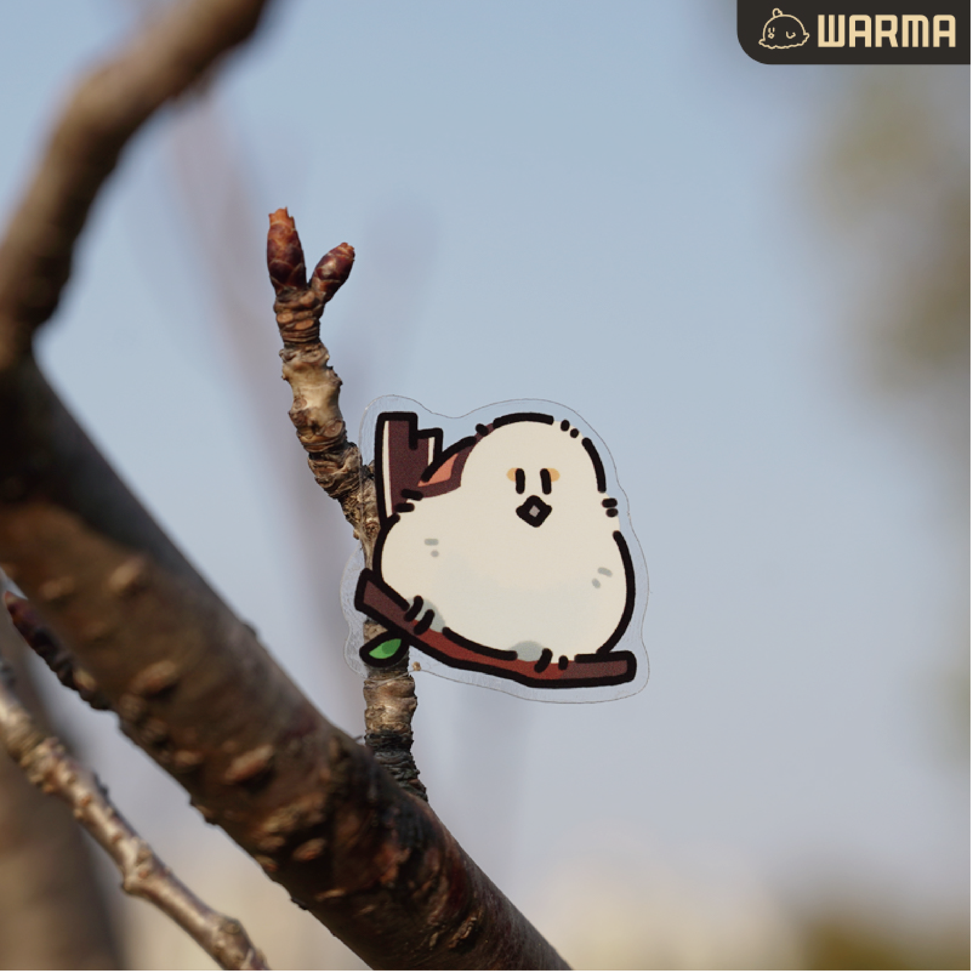 沃遇小鸟pvc贴纸透明底现货沃玛养鸡场warma周边文创文具,淘宝优惠券,粉丝福利购,淘宝优惠卷