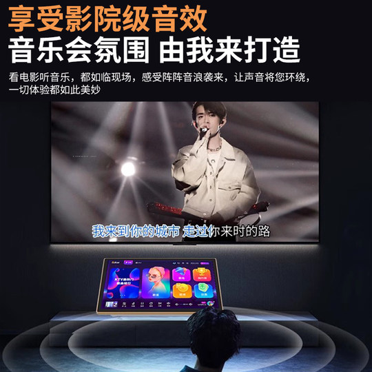 Yinchuang capacitive touch screen DSP digital reverberation microphone