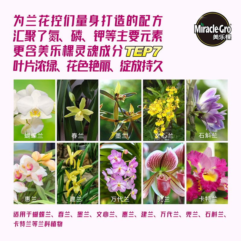 美乐棵兰花专用肥缓释肥营养棒蝴蝶兰文心兰花卉盆栽植物复合肥料,淘宝优惠券,粉丝福利购,淘宝优惠卷