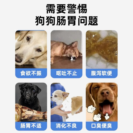 宠物益生菌狗狗专用调理肠胃宝呕吐吃的成幼犬用拉稀便秘软便小狗
