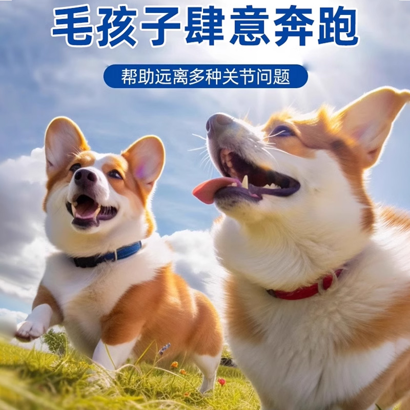 柯基专用鲨鱼软骨素狗狗保护关节软骨补钙用品宠物犬用营养品钙片 - 图3