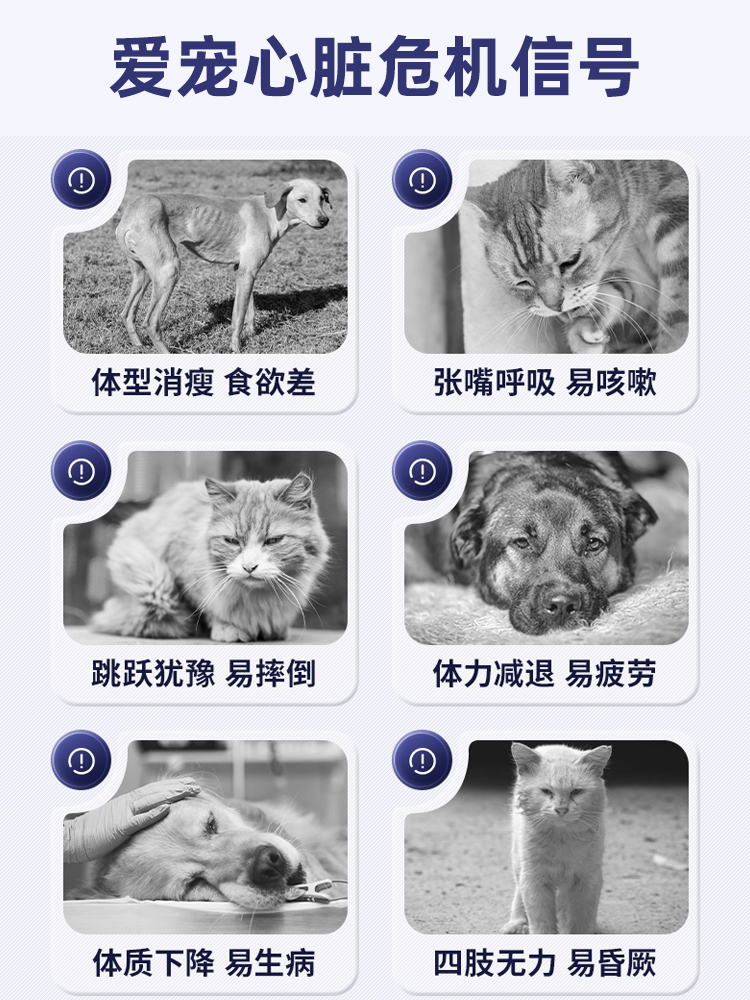 心脏辅酶q10宠物猫咪狗狗牛磺酸猫用非药心肌心脏肥大老年保健品 - 图0