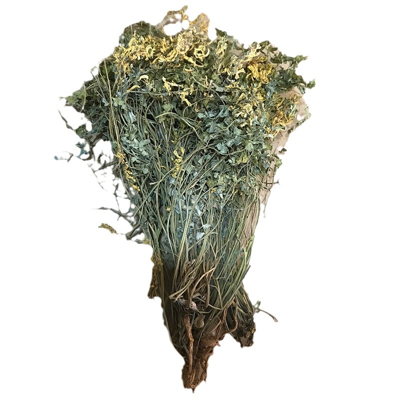 24年新货中药材岩黄连 岩胡 岩连 整颗带根岩黄莲 菊花黄连可磨粉 - 图3