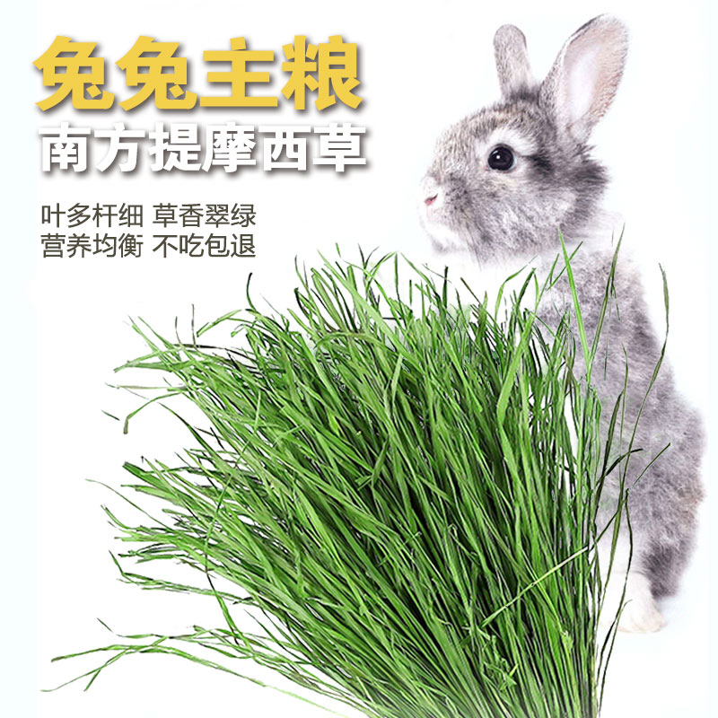 幼兔兔成年粮草草天然提摩西烘干全叶叶南提多绿龙猫豚鼠仓鼠磨牙 - 图0