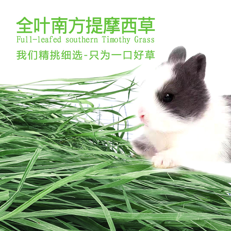 幼兔兔成年粮草草天然提摩西烘干全叶叶南提多绿龙猫豚鼠仓鼠磨牙 - 图1