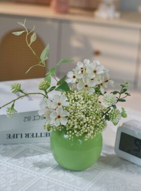 《绿溪雪》新款小清新梨花假花