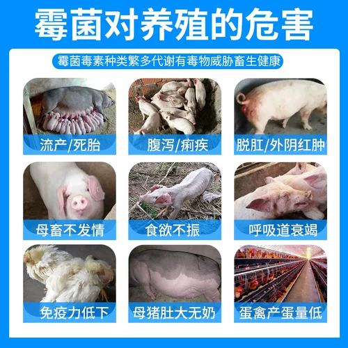 Женители формования для 20 кот свиней для плохих грибковых токсинов для токсина кукуруза кормит овец для несчастных цыплят, уток и гусей коров