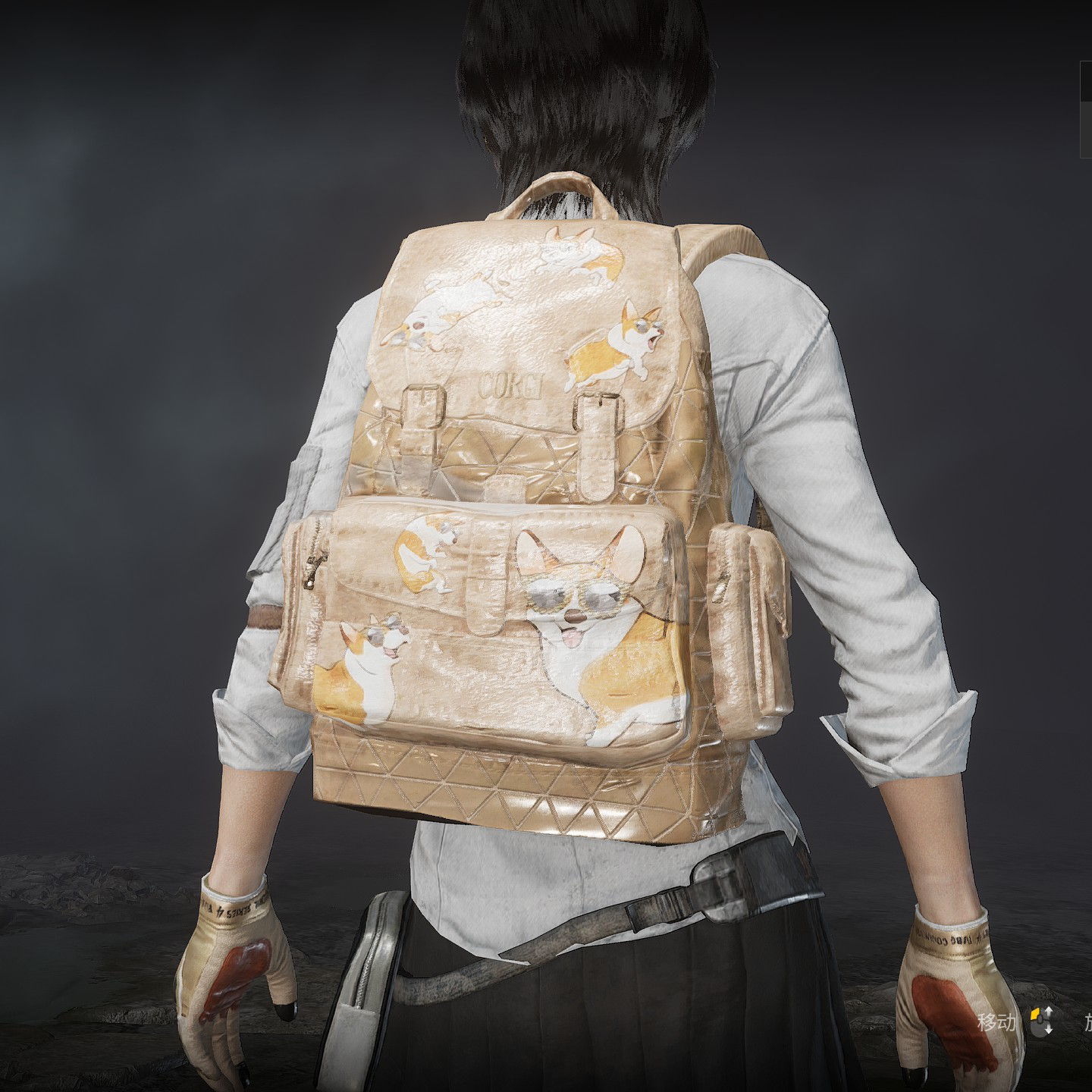 pubgPUBG绝地求生皮肤柯基背包套装书包礼包12级3级 二 三级兑换码CDK