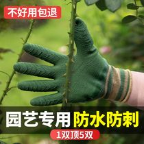 Horticultural Gloves Anti-Stab Waterproof Moonings Anti-Prick Wear-proof Wear Plate Chestnut Florist garden Planting flower gardener Special