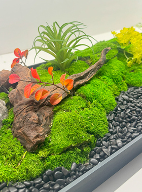新中式枯山水永生苔藓造景