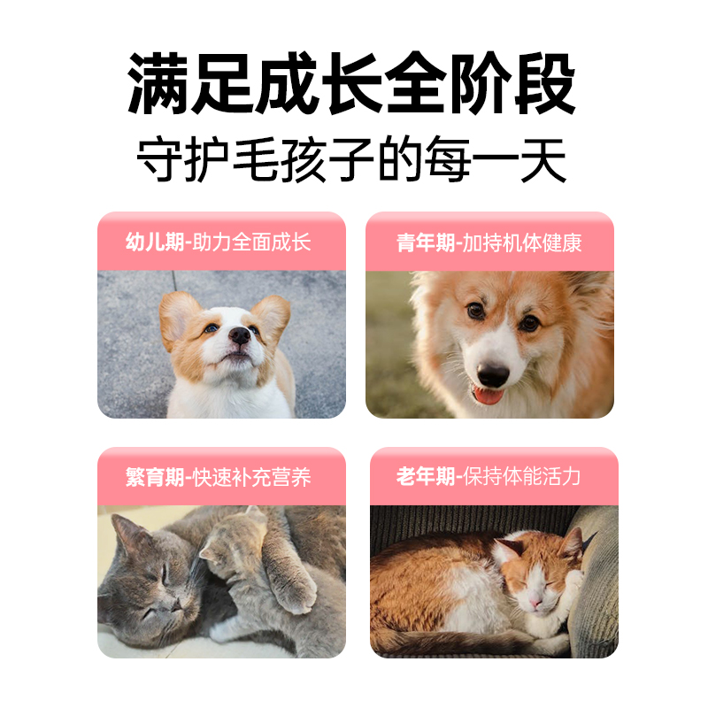 RedDog红狗多维复合维生素猫用犬用宠物提升免疫力改善皮肤问题-图2