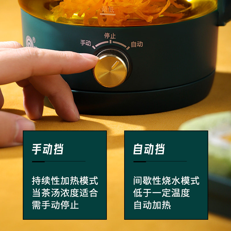 容声黑茶煮茶器蒸汽家用小型花茶壶 容声雅都养生壶/煎药壶
