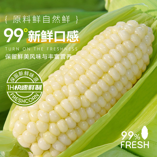 2025年新鲜有机甜糯玉米棒粘黏白糯米玉米真空包装袋非东北早餐 - 图0