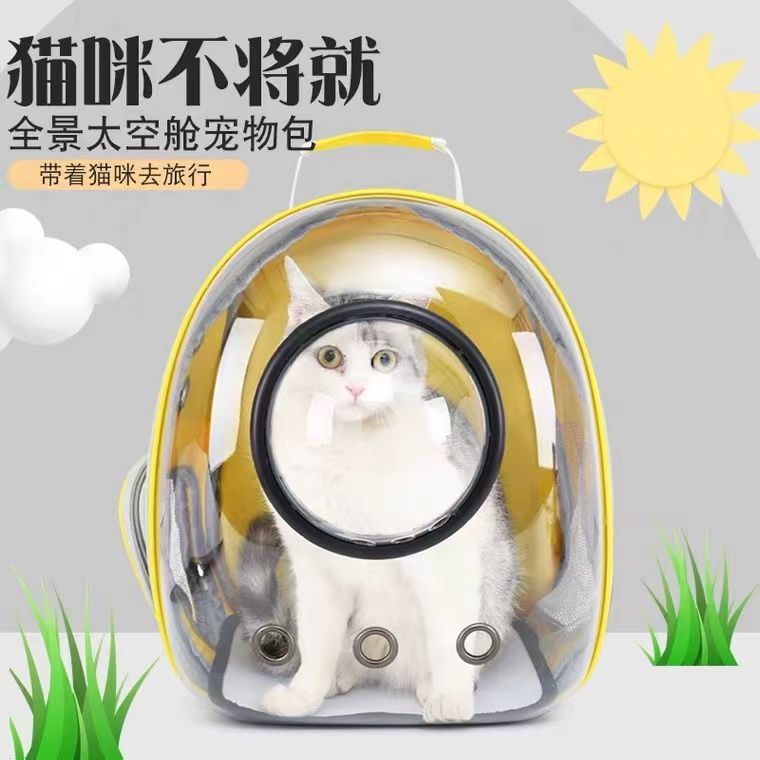 猫包太空舱透明宠物包外出便携双肩猫袋宠物用品猫咪小型狗狗背包 - 图2