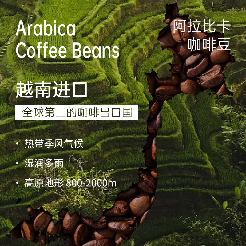 每日咖啡无糖阿拉比卡肉桂美式风味冻干咖啡速溶