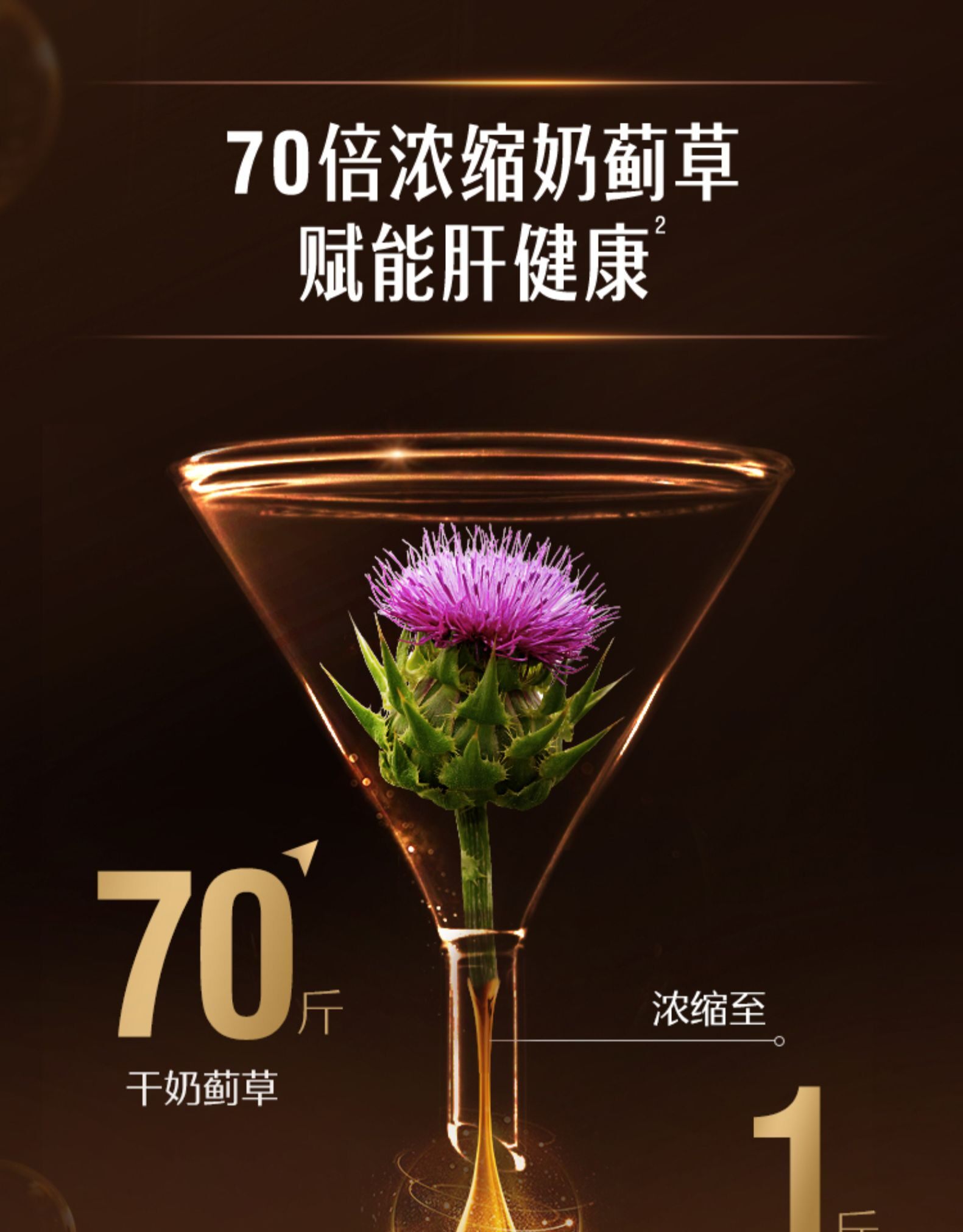 【增强版】swisse护旰奶蓟草护肝片 丽杰海外蓟类