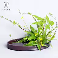 池坊花艺 新人首单立减十元 21年8月 淘宝海外