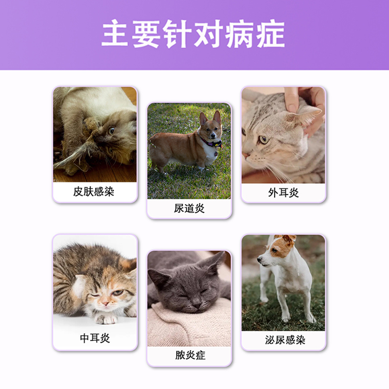 泰淘气头孢羟氨苄片外伤消炎药宠物猫咪狗感冒咳喘猫鼻支尿道口炎 - 图0