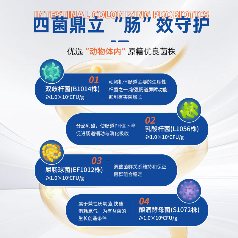 泰淘气益生菌药字号10条软便拉稀腹泻专用调理肠胃狗狗太宠物狗狗