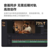 SNK PD200W Wireless Microphone Live Recording Anchor Special Radio Game Noise Reduction SNK Desktop Microphone