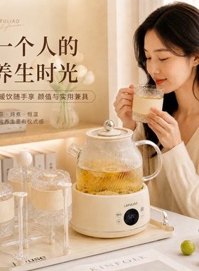 纯玻璃多功能家用电煮养生壶套装