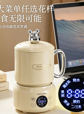 养生壶多功能家用办公室小型玻璃煮茶器花茶迷你保温水杯生日礼物