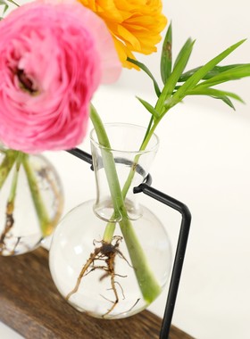 北欧ins铁艺水培植物花瓶铁架简约清新绿萝花器家居桌面摆件定制