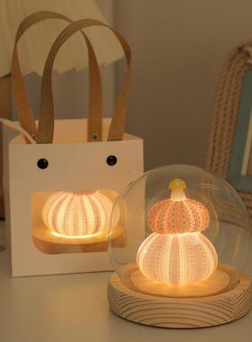 创意贝壳海胆手工diy小夜灯氛围灯卧室桌面装饰礼品摆件生日礼物