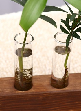 玻璃水培试管插花器复古透明桌面小花瓶木艺水养绿萝植物花盆定制