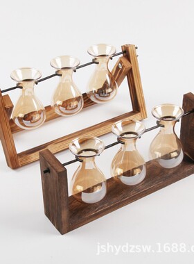 家居水培植物瓶摆件透明木架花瓶桌面小清新容器简约植物装饰定制