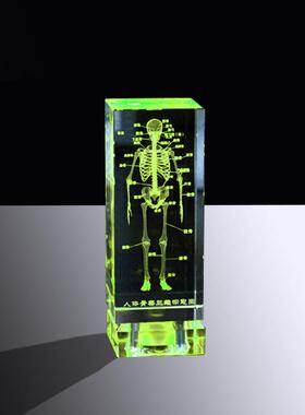 透明3D内雕人体骨骼解剖图展示标本教学模型摆件医学生纪念品