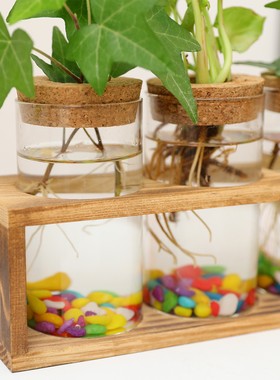 玻璃木框水培花瓶摆件客厅插花器皿干花玫瑰郁金香网红花瓶in定制