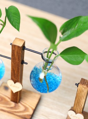 欧式水培容器玻璃植物木架花瓶创意花盆家居室内园艺客厅桌面定制
