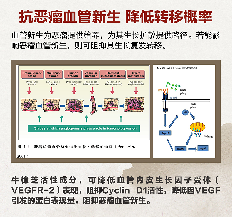 亚新樟芝（Asian Nova）中国台湾牛樟芝胶囊100粒浓缩 牛樟菇正品 - 图2