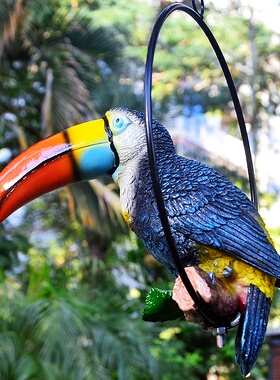 树脂巨嘴鸟花园庭院装饰摆件