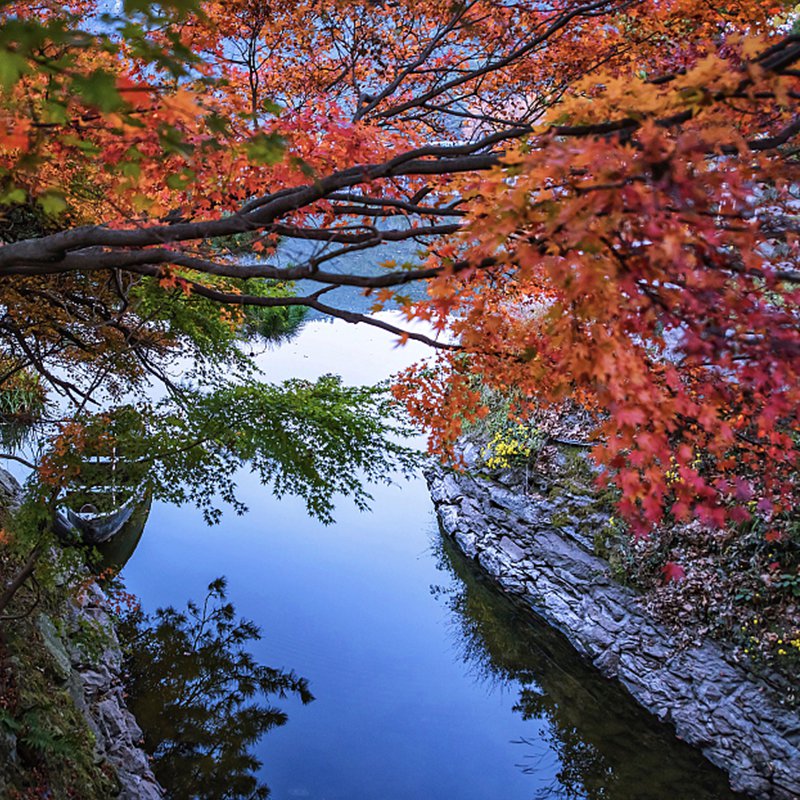 九江出发庐山+庐山西海2日游 含美庐别墅含鄱口庐山瀑布庐山西海 - 图2