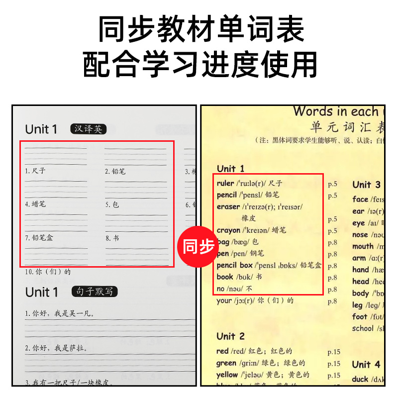 小学英语默写本单词抄写本人教版pep课本英文单词短语默写三四五六年级上册下册同步词汇短语句子英汉互译3-4-5-6年级英语听写本 - 图2