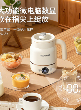 多功能热奶杯炖煮一体养生杯