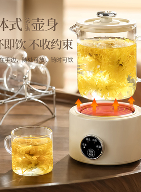 养生壶多功能家用小型花茶煮茶器