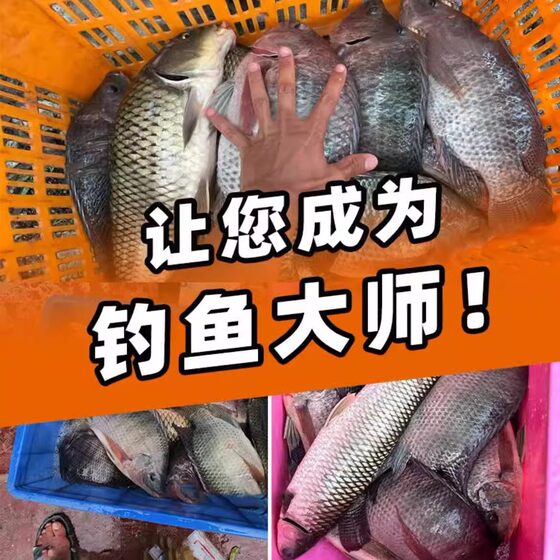 【买一送一】游钓黑坑疯子罗非小药凤梨桔香黑水果酸黑坑添加剂