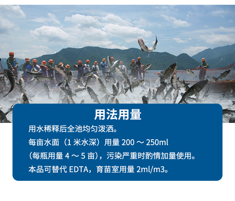 解毒碧水安杀菌解毒鱼塘水质改良剂养鱼鱼池活水灵水产养殖专用药 - 图2