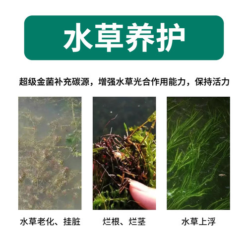 渔医师发酵菌砖复合发酵乳酸菌em菌水产养殖鱼蟹对虾调水抑制蓝藻 - 图2