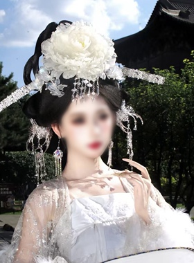 杨贵妃衍生套装唐风大牡丹银色款