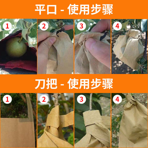柑橘套袋专用袋柑橘套袋纸袋橘子橙子不知火芒果杨桃脐橙石榴套袋 - 图2