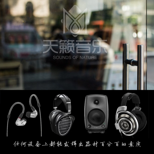 Embauche téléchargement de musique haute résolution DSD qualité sans perte source sonore douce WAV/DTS5.1 canal voiture HIFI